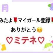 ヒメ日記 2026/06/12 10:02 投稿 はる なでしこ(十三)