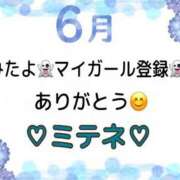 ヒメ日記 2026/06/16 10:02 投稿 はる なでしこ(十三)