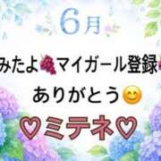 ヒメ日記 2026/06/22 10:02 投稿 はる なでしこ(十三)