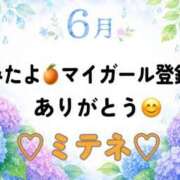 ヒメ日記 2026/06/23 10:02 投稿 はる なでしこ(十三)
