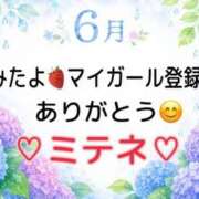 ヒメ日記 2026/06/25 10:02 投稿 はる なでしこ(十三)