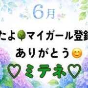 ヒメ日記 2026/06/29 10:02 投稿 はる なでしこ(十三)