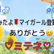 ヒメ日記 2026/07/01 10:02 投稿 はる なでしこ(十三)