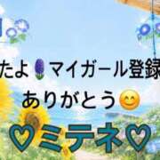 ヒメ日記 2026/07/02 10:02 投稿 はる なでしこ(十三)