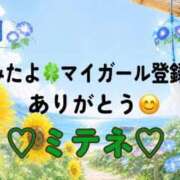 ヒメ日記 2026/07/04 10:03 投稿 はる なでしこ(十三)