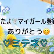 ヒメ日記 2026/07/05 10:04 投稿 はる なでしこ(十三)