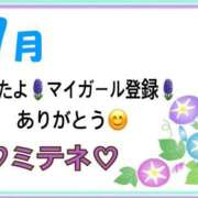 ヒメ日記 2026/07/06 10:02 投稿 はる なでしこ(十三)