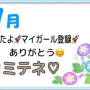 ヒメ日記 2026/07/12 10:03 投稿 はる なでしこ(十三)