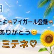 ヒメ日記 2026/07/20 10:04 投稿 はる なでしこ(十三)