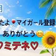 ヒメ日記 2026/07/21 10:02 投稿 はる なでしこ(十三)