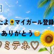 ヒメ日記 2026/07/22 10:02 投稿 はる なでしこ(十三)