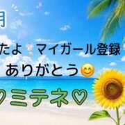 ヒメ日記 2026/07/24 10:01 投稿 はる なでしこ(十三)