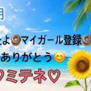ヒメ日記 2026/07/25 10:03 投稿 はる なでしこ(十三)