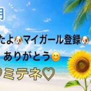 ヒメ日記 2026/07/26 10:03 投稿 はる なでしこ(十三)