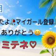 ヒメ日記 2026/07/27 10:02 投稿 はる なでしこ(十三)