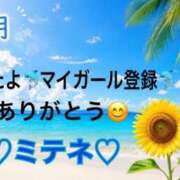 ヒメ日記 2026/07/30 10:02 投稿 はる なでしこ(十三)