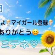 ヒメ日記 2026/07/31 10:02 投稿 はる なでしこ(十三)
