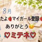 ヒメ日記 2026/08/01 10:03 投稿 はる なでしこ(十三)