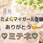 ヒメ日記 2026/08/03 10:02 投稿 はる なでしこ(十三)