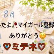 ヒメ日記 2026/08/05 10:02 投稿 はる なでしこ(十三)