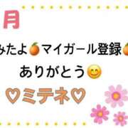 ヒメ日記 2026/09/03 10:02 投稿 はる なでしこ(十三)