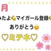 ヒメ日記 2026/09/04 10:03 投稿 はる なでしこ(十三)