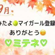 ヒメ日記 2026/09/16 10:02 投稿 はる なでしこ(十三)