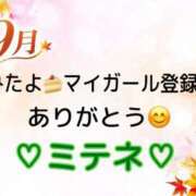 ヒメ日記 2026/09/28 10:02 投稿 はる なでしこ(十三)