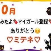 ヒメ日記 2026/10/10 10:03 投稿 はる なでしこ(十三)