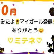 ヒメ日記 2026/10/11 10:03 投稿 はる なでしこ(十三)