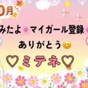 ヒメ日記 2026/10/12 10:03 投稿 はる なでしこ(十三)