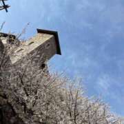 ヒメ日記 2025/04/01 00:01 投稿 うた ○コキクリニック～○○クリニックシリーズ～