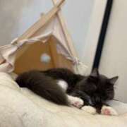 ヒメ日記 2025/05/31 19:18 投稿 うた ○コキクリニック～○○クリニックシリーズ～