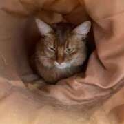 ヒメ日記 2025/06/01 17:05 投稿 うた ○コキクリニック～○○クリニックシリーズ～