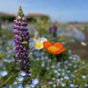 ヒメ日記 2025/06/22 09:13 投稿 うた ○コキクリニック～○○クリニックシリーズ～