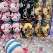 ヒメ日記 2025/06/26 19:33 投稿 うた ○コキクリニック～○○クリニックシリーズ～