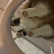 うた 無題 ○コキクリニック～○○クリニックシリーズ～