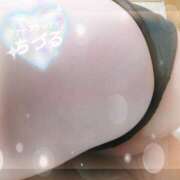 ヒメ日記 2026/02/20 20:31 投稿 ちづる ファーストレディ(博多)