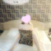 ヒメ日記 2026/04/07 08:00 投稿 ちづる ファーストレディ(博多)