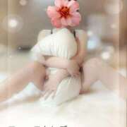 ヒメ日記 2026/04/12 09:01 投稿 ちづる ファーストレディ(博多)