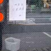 ヒメ日記 2026/06/30 05:33 投稿 たまき ゴールドフィンガー