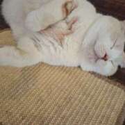 ヒメ日記 2025/07/01 19:25 投稿 みずき 金瓶梅-きんぺいぱい-