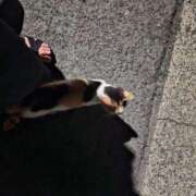 ヒメ日記 2025/07/03 20:39 投稿 みずき 金瓶梅-きんぺいぱい-