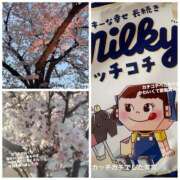 ヒメ日記 2025/04/17 10:06 投稿 なつき Club Milky Pink