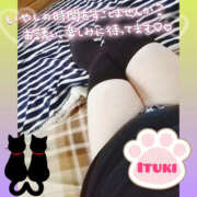 ヒメ日記 2024/12/20 08:02 投稿 いつき Hip's-group越谷本店