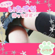 ヒメ日記 2025/02/03 08:02 投稿 いつき Hip's-group越谷本店