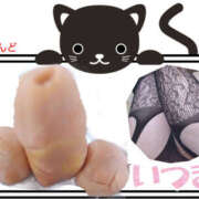 ヒメ日記 2025/03/26 09:32 投稿 いつき Hip's-group越谷本店