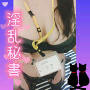 ヒメ日記 2025/11/14 09:38 投稿 いつき Hip's-group越谷本店