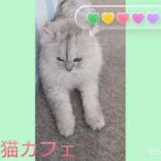 ヒメ日記 2026/07/21 14:02 投稿 いつき Hip's-group越谷本店