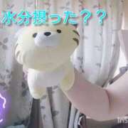 ヒメ日記 2026/07/30 09:02 投稿 いつき Hip's-group越谷本店